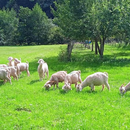 Au Mohair Des Alpy Fougax-et-Barrineuf Esterno foto